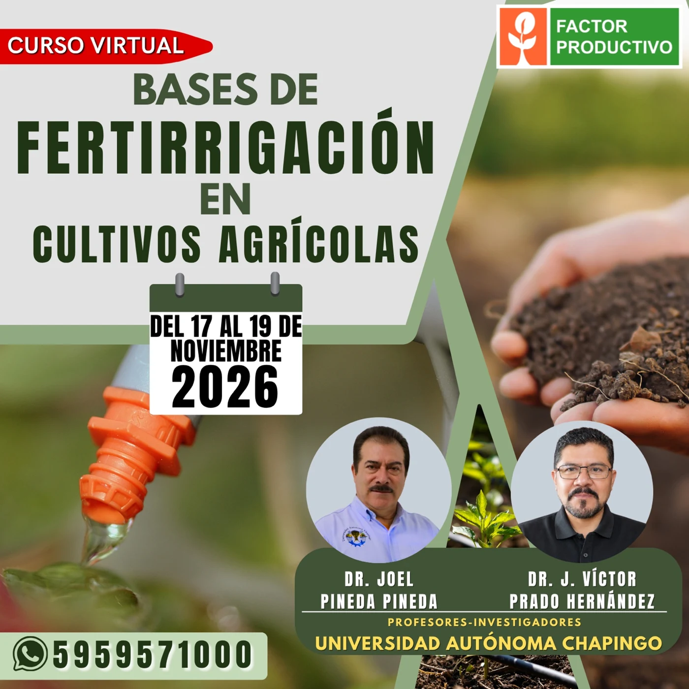 Programa del curso Bases de Fertirrigación en Cultivos Agrícolas